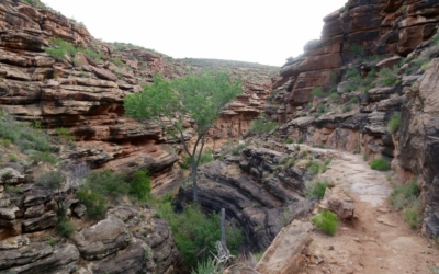 Bright Angel Trail