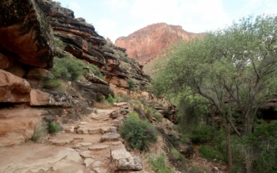 Bright Angel Trail