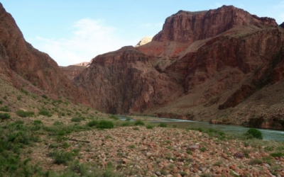 Descendre au fond du Grand Canyon