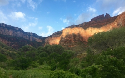 Descendre au fond du Grand Canyon
