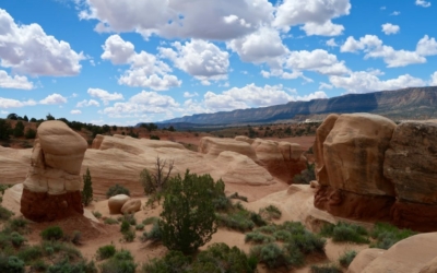 Devil's Garden
