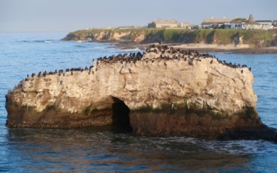 Natural Bridge