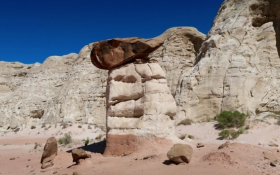 Toadstools Hoodoos
