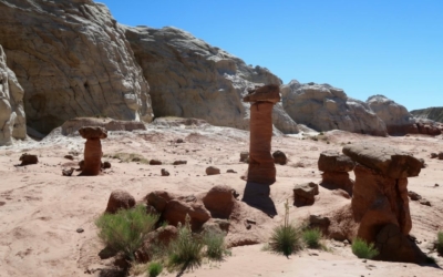 Toadstools Hoodoos