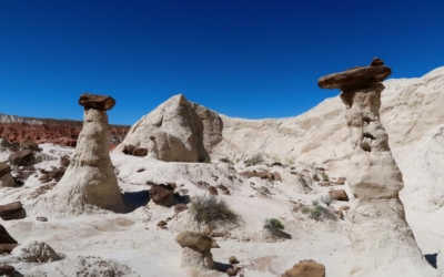Toadstools Hoodoos