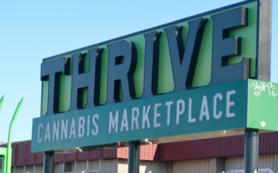 activité du Cannabis