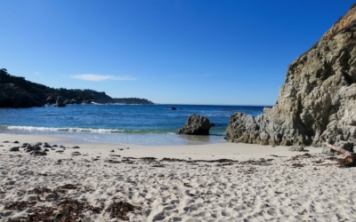 Gibson Beach Point Lobos