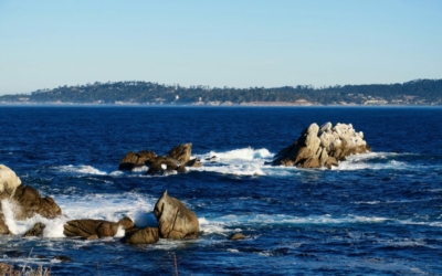 Whalers Cove