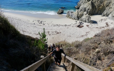 Gibson Beach Point Lobos