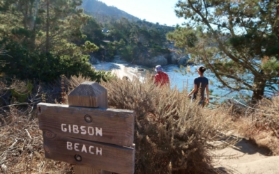 Gibson Beach Point Lobos