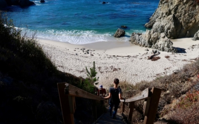 Gibson Beach Point Lobos