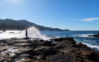 Road Trip familial - Big Sur