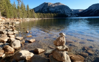 Road Trip familial - Yosemite