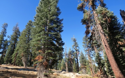 sentier Taft Point
