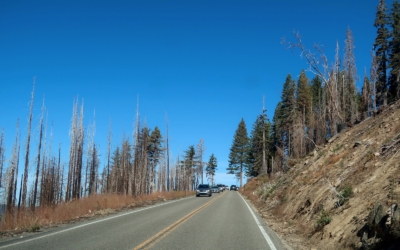 Glacier Point Road