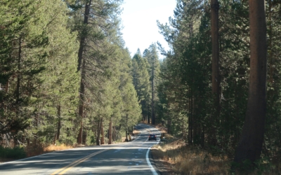 Glacier Point Road