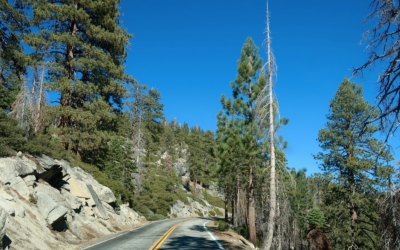 Glacier Point Road