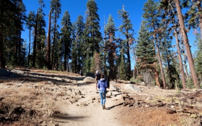 sentier Taft Point