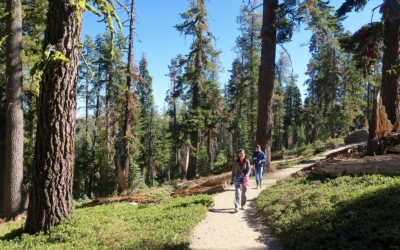 sentier Taft Point