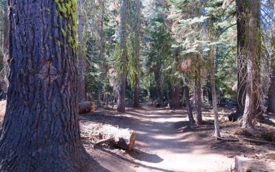 sentier Taft Point