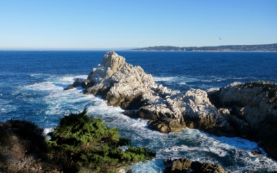 Point Lobos