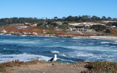 17 Mile Drive