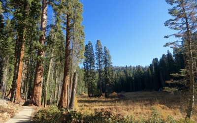 Crescent Meadow