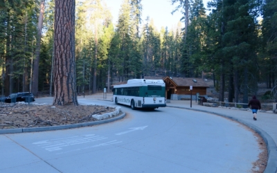 Mariposa Grove Shuttle