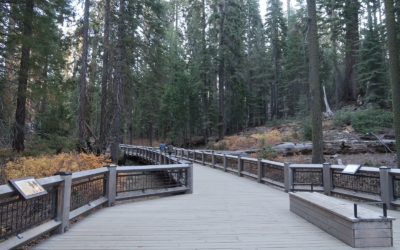 BigTrees Loop Trail