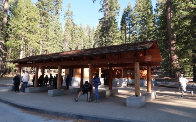 Mariposa Grove Shuttle