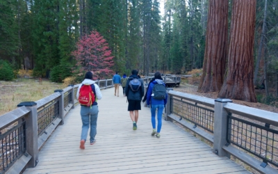 BigTrees Loop Trail