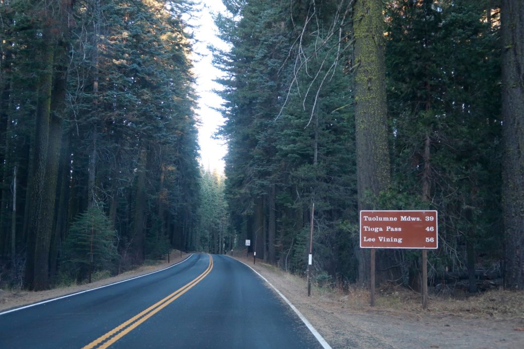 La Tioga Road, axe majeur d'un road trip dans l'Ouest Bons plans voyage Yosemite National Park