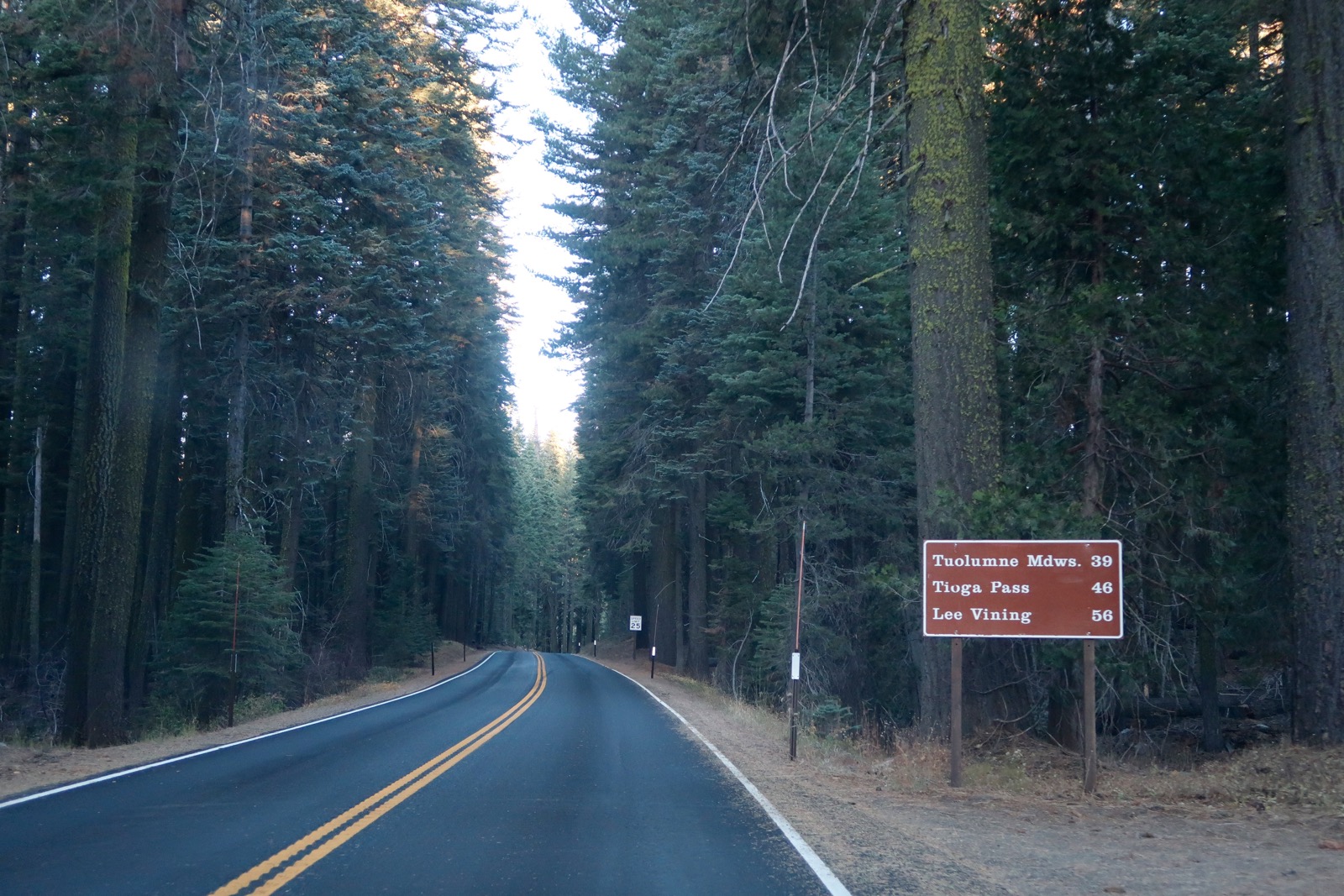 La Tioga Road, axe majeur d'un road trip dans l'Ouest Bons plans voyage Yosemite National Park