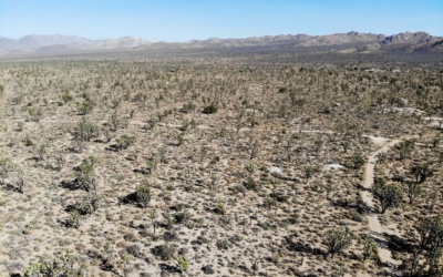 Mojave National Preserve