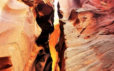 Canyon X