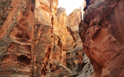 Canyon X