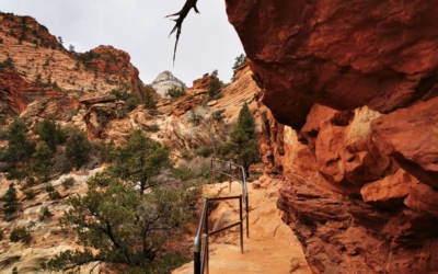 Canyon Overlook Trail