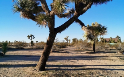 emplacement