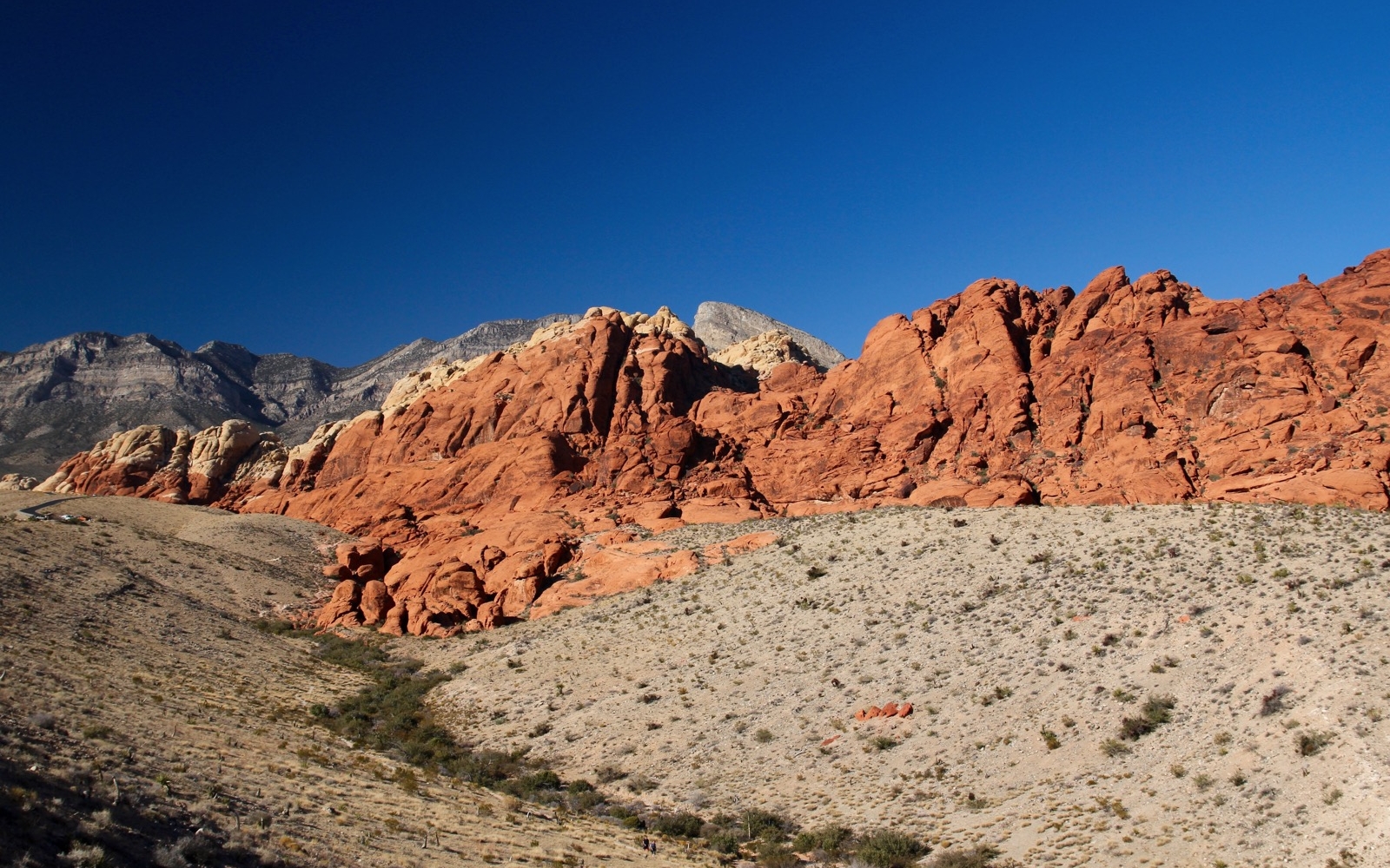 réservation Red Rock Canyon 