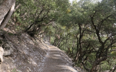 sentier Yosemite Falls