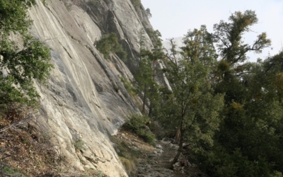 sentier Yosemite Falls