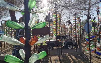 Bottle Tree Ranch