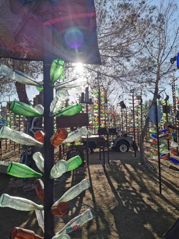 Bottle Tree Ranch