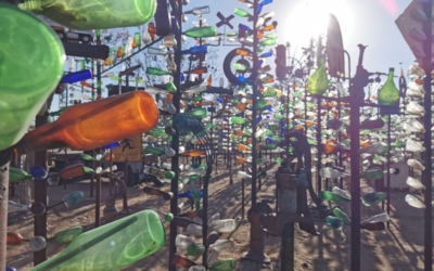 Bottle Tree Ranch