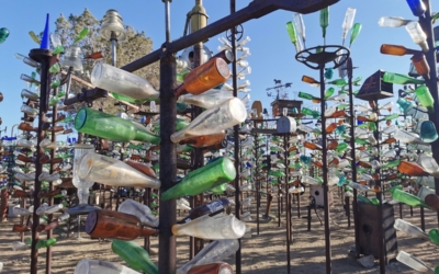 Bottle Tree Ranch