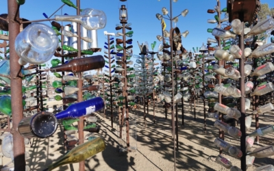 Bottle Tree Ranch