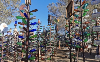 Bottle Tree Ranch