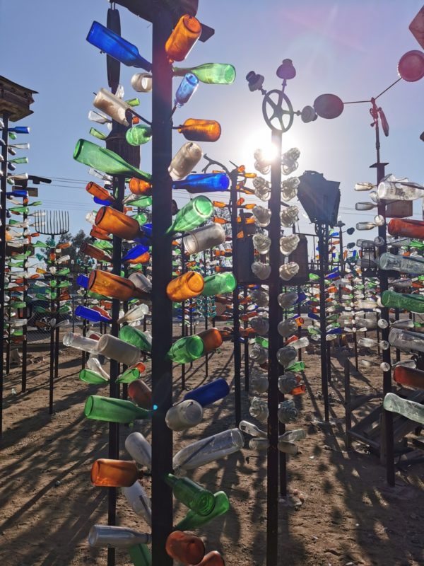 Bottle Tree Ranch