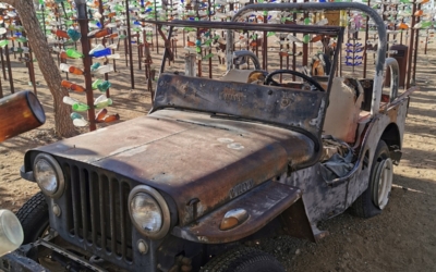 Bottle Tree Ranch