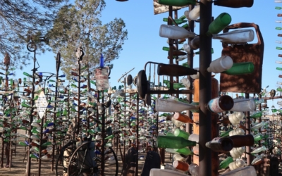 Bottle Tree Ranch